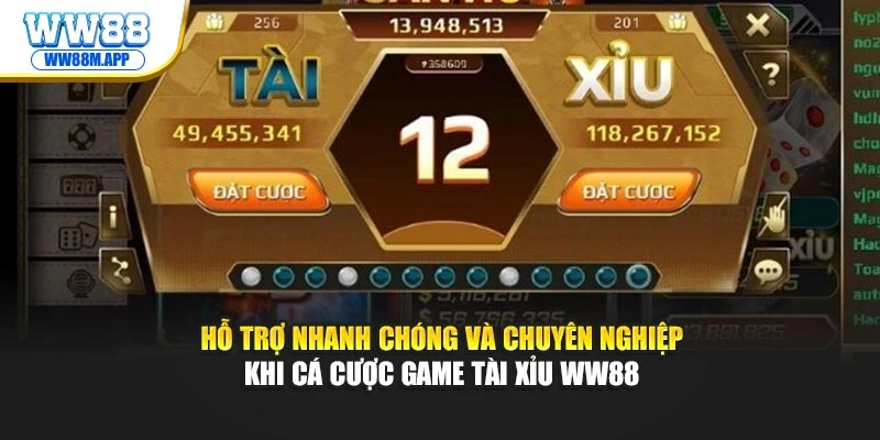 Hỗ trợ nhanh chóng và chuyên nghiệp khi cá cược game tài xỉu WW88